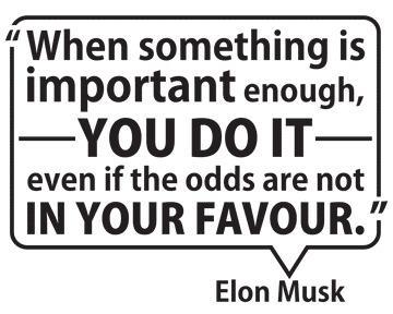 Elon Musk Quote - vinyl wall poetry