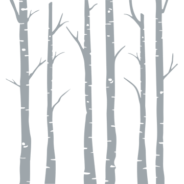 Birch forest frosted vinyl glass stickers - room