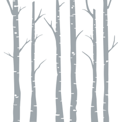 Birch forest frosted vinyl glass stickers