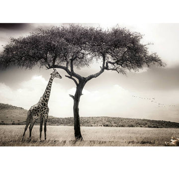 Giraffe Safari Mural