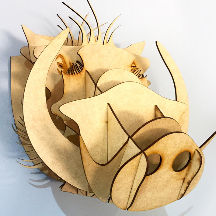 3D Warthog Head - Wood