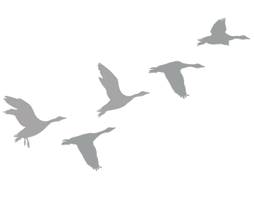 Frosted Wild geese - vinyl glass stickers