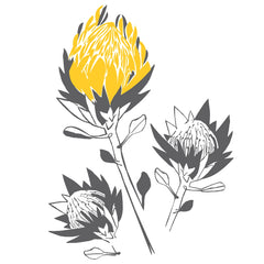 Artistic Proteas vinyl wall stickers in charcoal and yellow