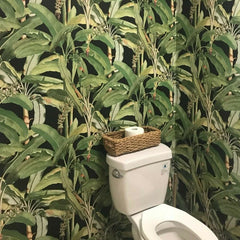 Tropical Banana Plant Wallpaper